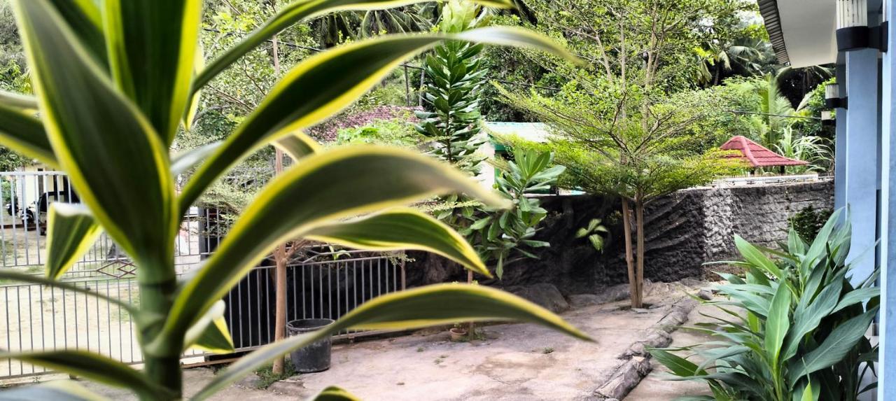 Sakila Homestay Kuta  Kültér fotó