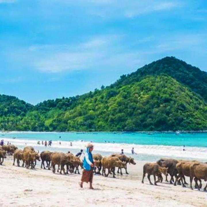 Sakila Homestay Kuta  Kültér fotó
